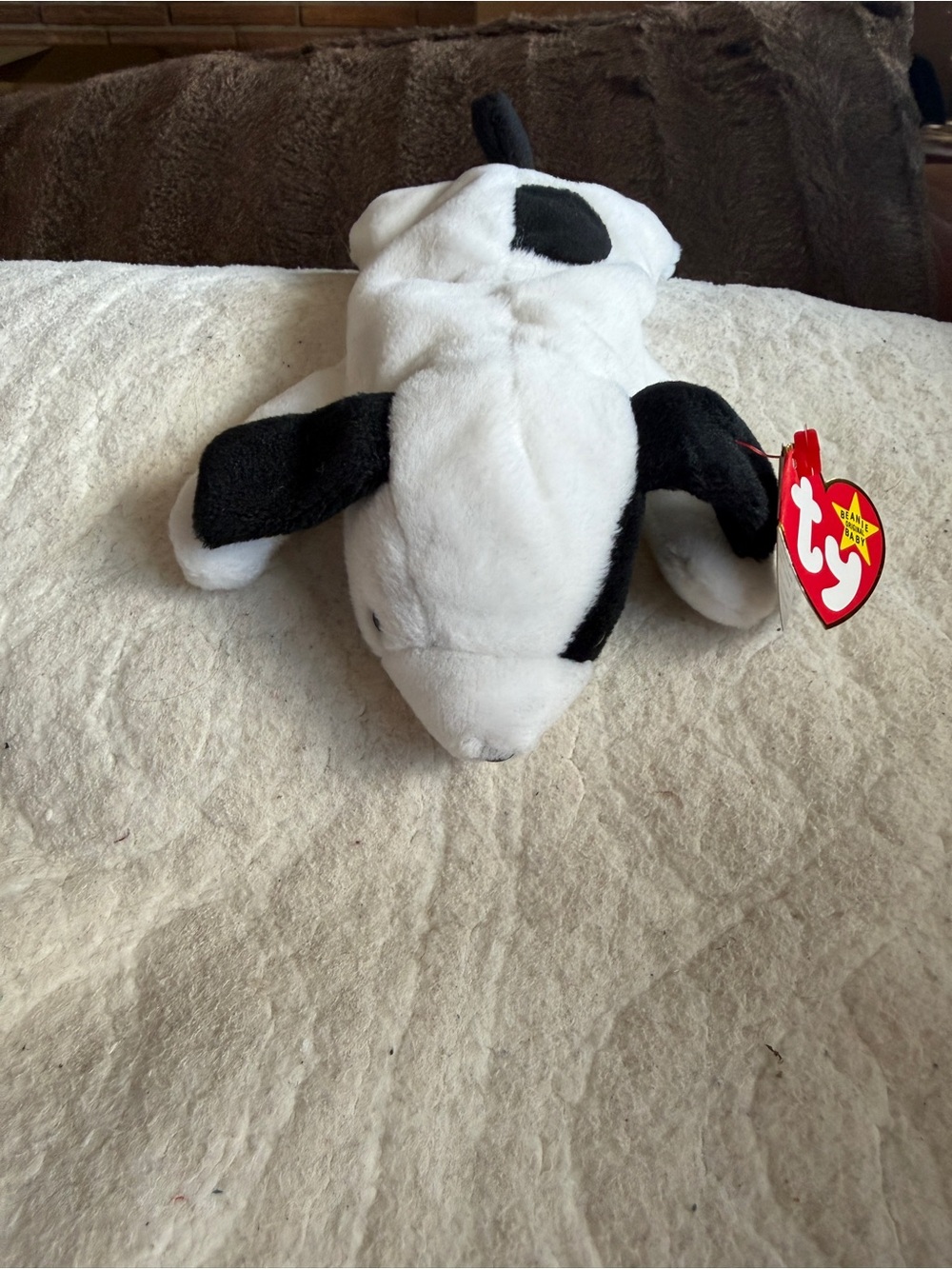 Ty NWT Spot Black and White Dog Plush Beanie Baby